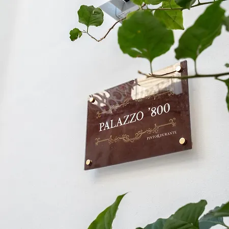 Сasa de vacaciones Palazzo '800